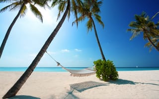 Картинка гамак, пальмы, море, отдых, лето, пляж