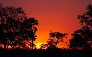 Картинка закат, африка