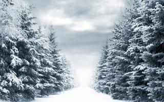 Картинка фонари, деревья, дорога, снег, зима