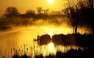 Картинка озеро, туман, лес, рассвет, утро, вода