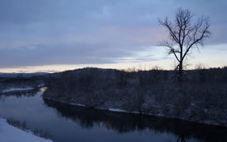 Картинка зима, деревья, снег, река