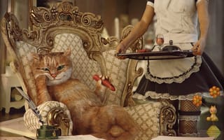 Картинка девушка, босс, кот, животные, кресло, солидный