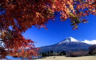 Картинка гора, шапка, осень, желтизна, листопад