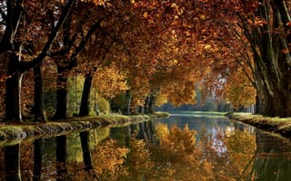 Картинка осень, листва, пруд