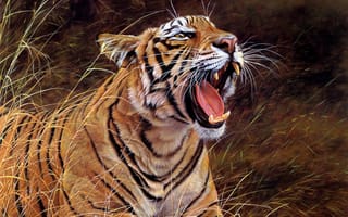Картинка тигр, пасть, хищник, арт, трава