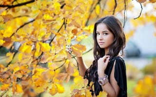 Картинка девушка, красота, желтые листья, взгляд, поза, осень
