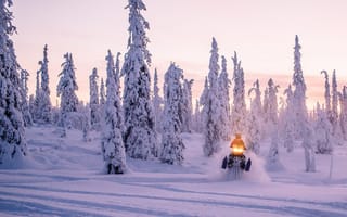 Картинка зима, снег, деревья, снегоход