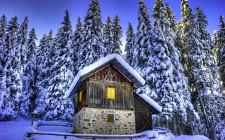 Картинка Зима, лес, природа, снег, домик, красиво