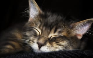 Картинка кошка, дизайн, сон
