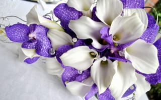 Картинка цветы, орхидеи, жемчуг, каллы, белые