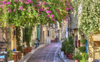 Картинка Greece, город, весна, цветы, улица