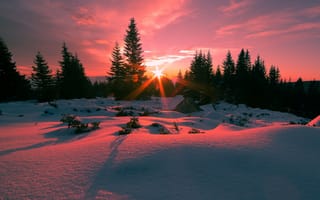 Картинка Восход солнца, Болгария, Nikolai Alexiev, гора Витоша