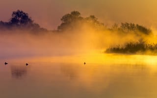 Картинка озеро, гладь воды, желто-розовый туман