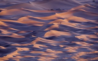 Картинка США, фотограф, дюны, штат, Долина Смерти, Калифорния, минимализм, пустыня