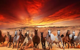 Картинка Дюны, движение, кони, табун, Сахара, небо, закат, by Миша Шнеер, песок