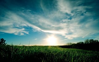 Картинка зеленое поле, трава, горизонт, небо