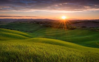 Картинка sunrise, fields, grass, sunlight