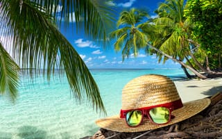 Картинка шляпа, тропики, очки, Лето, пальмы, океан