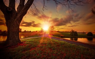 Картинка bridge, sun, trees, sunrise, sky, field