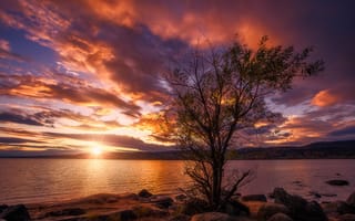 Картинка природа, закат, озеро, камни, дерево, Норвегия