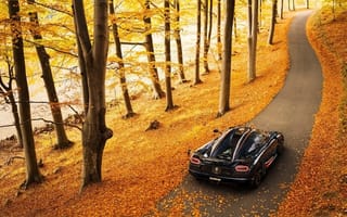 Картинка Koenigsegg, дорога, осень, суперкар