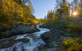 Картинка природа, Норвегия, лес, лучи, горная река, солнце, национальный парк, осень