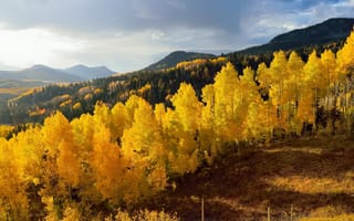Картинка природа, супер фото, осень, горы