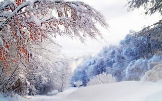 Картинка природа, Зима, домик, горы, красиво, снег