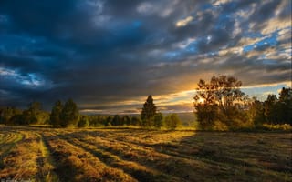 Картинка поле, небо, горизонт, Андрей Шумилин, вечерний свет