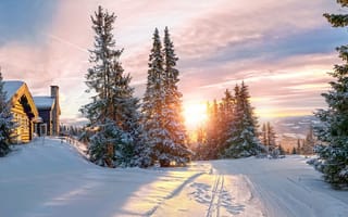 Картинка зима, закат, домики, снег, ели, Jorn Allan Pedersen, лес