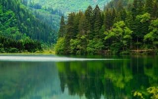 Картинка природа, красиво, озеро, леса, горы