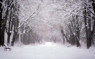 Картинка зима, красиво, парк, снег