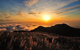 Обои тайвань, облака, горы, мискантус, вечернее солнце, небо, солнце, растение