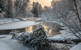 Картинка природа, речка, лес, зима