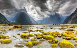 Картинка Южный остров, фьорд, камни, Милфорд Саунд, облака, Новая Зеландия, Национальный парк Фьордленд