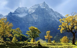 Картинка Кленовые, горы, деревья, осень, природа, Карвендель, Австрия