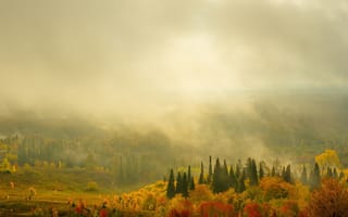 Картинка Белогорье, туман, рассвет