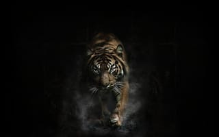 Картинка арт, тигр