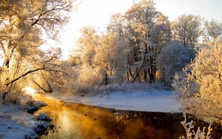 Картинка природа, иней, зима, лес, свет, оранжевый, река, отражение
