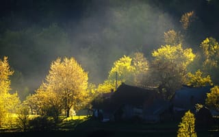 Картинка перед грозой, облака, деревья, дома, свет, Stefan Chirobocea, небо