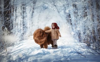 Картинка девочка, собака, позитив, лес, свет, Мытник Валерия, снег