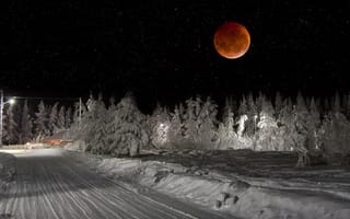 Картинка ночь, дорога, снег, небо, красная луна, лес, Lapland