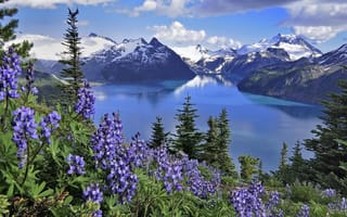 Картинка природа, весна, Канада, горы