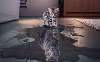 Картинка котенок, тигр, образ