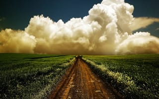 Обои дорога, поле, небо, облака