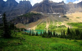 Картинка цветы, США, деревья, лужайка, Glacier National Park, озеро, трава, поляна, горы, скалы