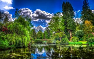 Обои парк, пруд, деревья, трава, обработка, Англия, Tatton Hall, сад, облака, кусты