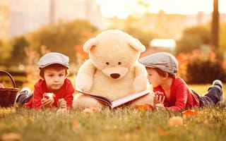 Картинка дети, медведь, природа, книга, мальчики, трава, игрушка