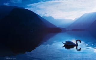 Картинка лебедь, синева, горы, lyon, небо, озеро
