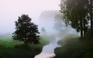 Обои деревья, утро, природа, река, туман
